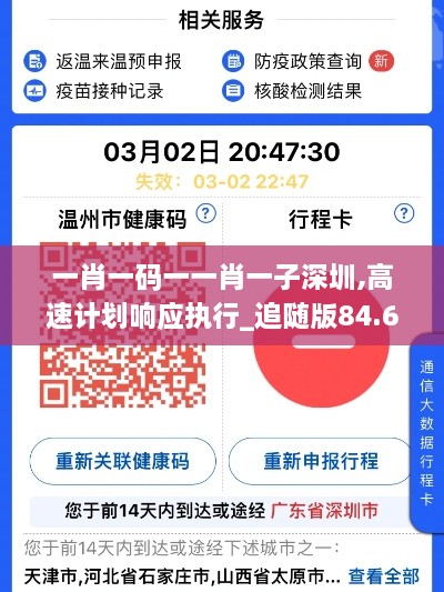 一肖一码一一肖一子深圳,高速计划响应执行_追随版84.699