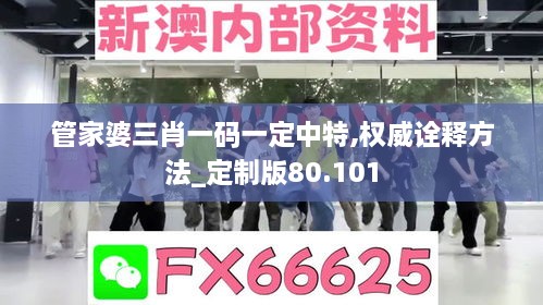 管家婆三肖一码一定中特,权威诠释方法_定制版80.101