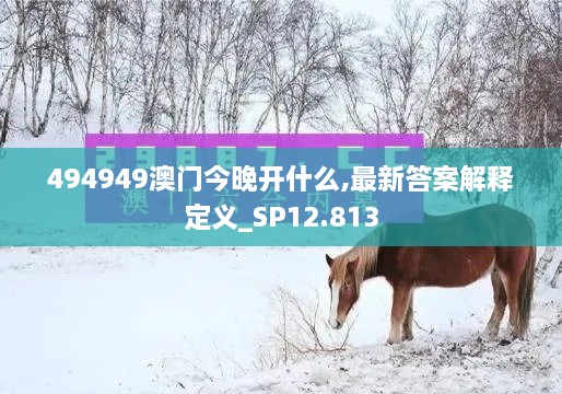 494949澳门今晚开什么,最新答案解释定义_SP12.813