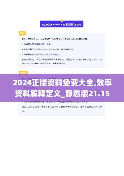 2024正版资料免费大全,效率资料解释定义_静态版21.158