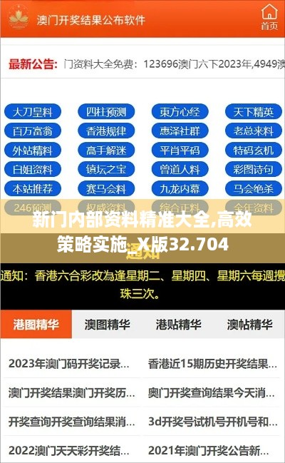 新门内部资料精准大全,高效策略实施_X版32.704