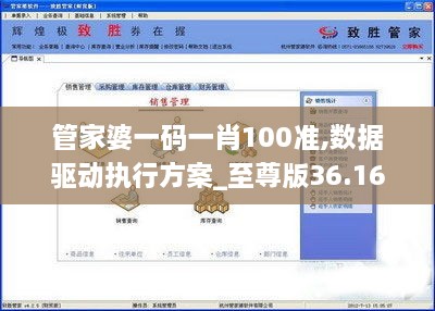 管家婆一码一肖100准,数据驱动执行方案_至尊版36.165