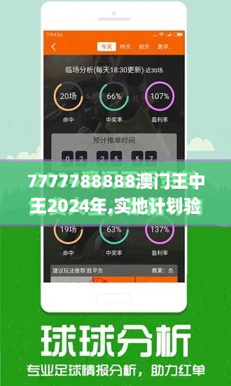 7777788888澳门王中王2024年,实地计划验证数据_复刻款96.564