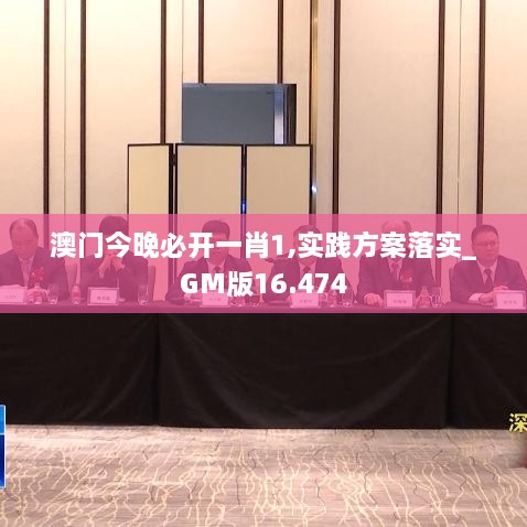 澳门今晚必开一肖1,实践方案落实_GM版16.474