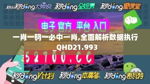 一肖一码一必中一肖,全面解析数据执行_QHD21.993