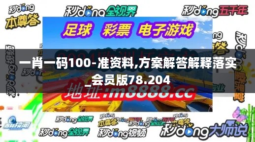 一肖一码100-准资料,方案解答解释落实_会员版78.204