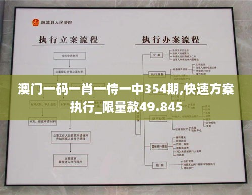 澳门一码一肖一恃一中354期,快速方案执行_限量款49.845