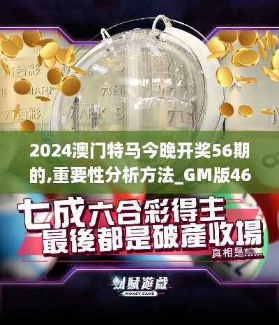 2024澳门特马今晚开奖56期的,重要性分析方法_GM版46.833