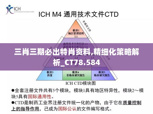 三肖三期必出特肖资料,精细化策略解析_CT78.584