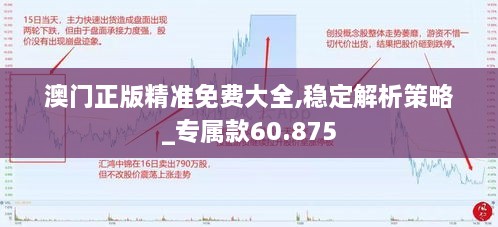 澳门正版精准免费大全,稳定解析策略_专属款60.875