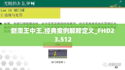 新澳王中王,经典案例解释定义_FHD23.512