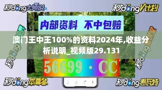 澳门王中王100%的资料2024年,收益分析说明_视频版29.131