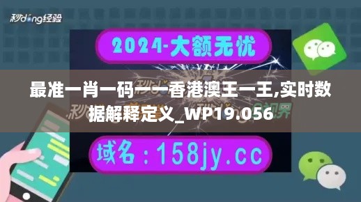 最准一肖一码一一香港澳王一王,实时数据解释定义_WP19.056