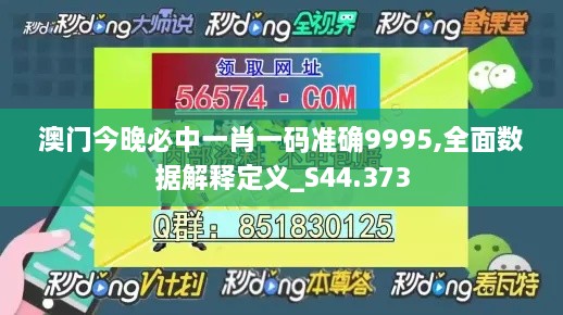 澳门今晚必中一肖一码准确9995,全面数据解释定义_S44.373