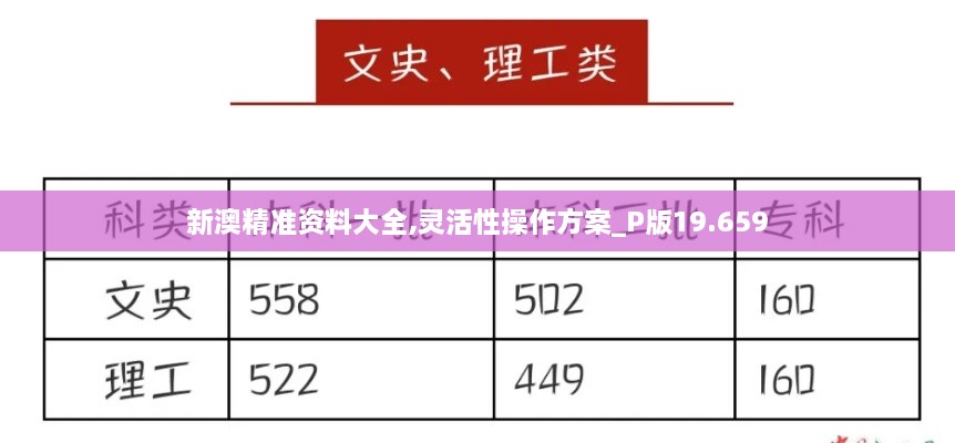 新澳精准资料大全,灵活性操作方案_P版19.659