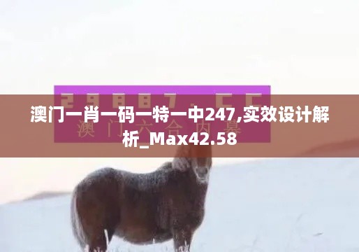 澳门一肖一码一特一中247,实效设计解析_Max42.58