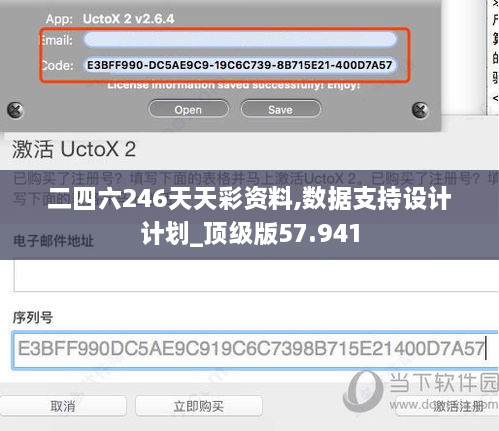 二四六246天天彩资料,数据支持设计计划_顶级版57.941