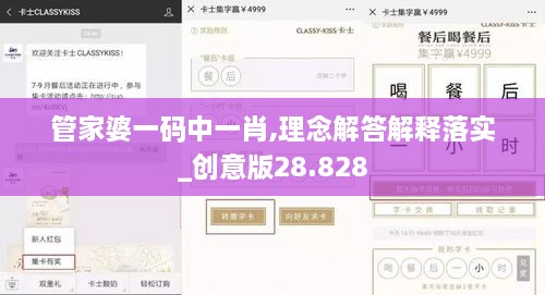 管家婆一码中一肖,理念解答解释落实_创意版28.828