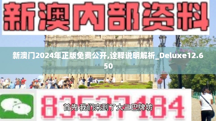 新澳门2024年正版免费公开,诠释说明解析_Deluxe12.650