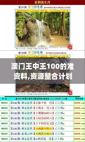 澳门王中王100的准资料,资源整合计划_速达版97.555