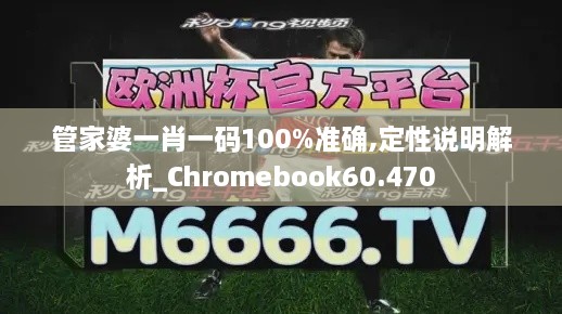 管家婆一肖一码100%准确,定性说明解析_Chromebook60.470