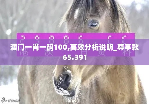 澳门一肖一码100,高效分析说明_尊享款65.391