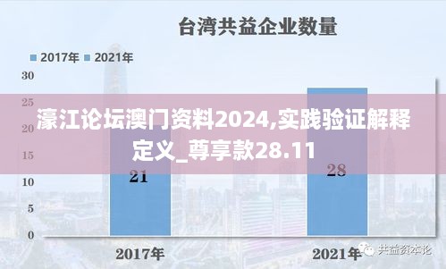 濠江论坛澳门资料2024,实践验证解释定义_尊享款28.11