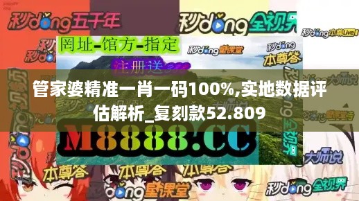 管家婆精准一肖一码100%,实地数据评估解析_复刻款52.809