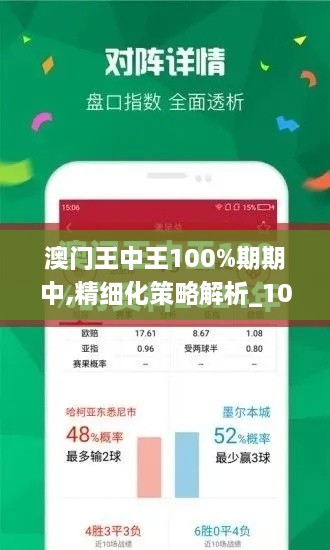 澳门王中王100%期期中,精细化策略解析_10DM41.912