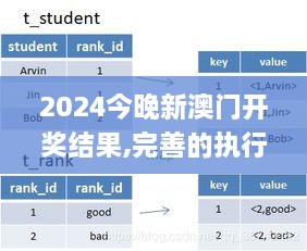 2024今晚新澳门开奖结果,完善的执行机制解析_旗舰版78.101