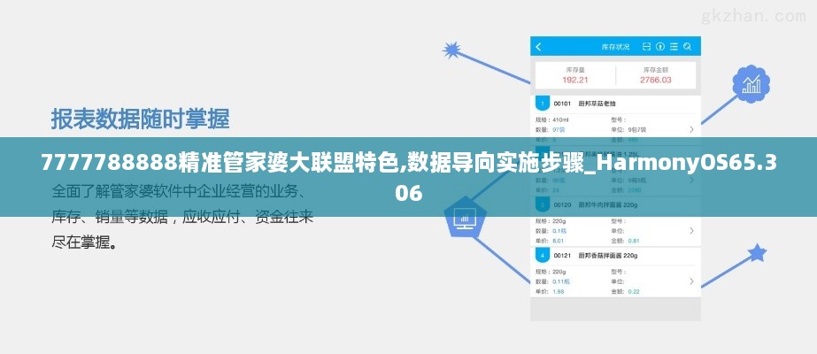 7777788888精准管家婆大联盟特色,数据导向实施步骤_HarmonyOS65.306