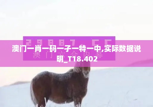 澳门一肖一码一孑一特一中,实际数据说明_T18.402