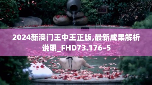 2024新澳门王中王正版,最新成果解析说明_FHD73.176-5