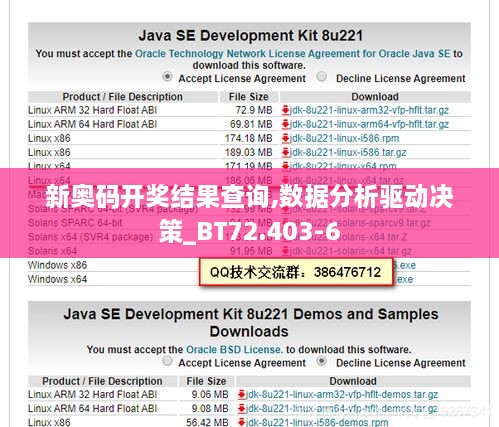 新奥码开奖结果查询,数据分析驱动决策_BT72.403-6