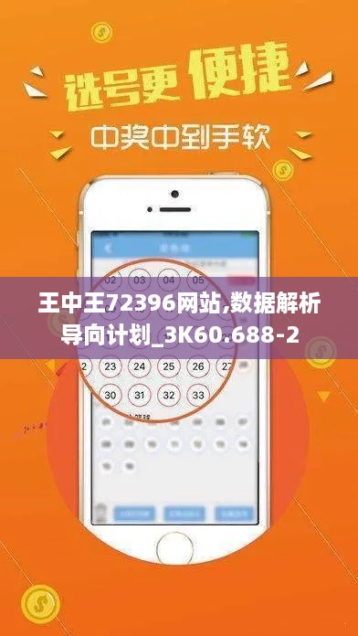 王中王72396网站,数据解析导向计划_3K60.688-2