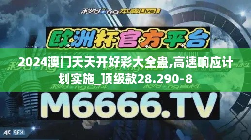 2024澳门天天开好彩大全蛊,高速响应计划实施_顶级款28.290-8