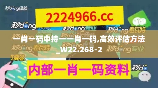 一肖一码中持一一肖一码,高效评估方法_W22.268-2