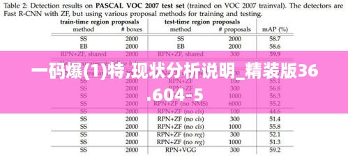 一码爆(1)特,现状分析说明_精装版36.604-5