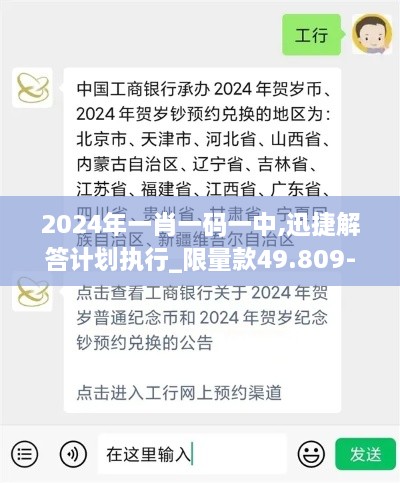 2024年一肖一码一中,迅捷解答计划执行_限量款49.809-3