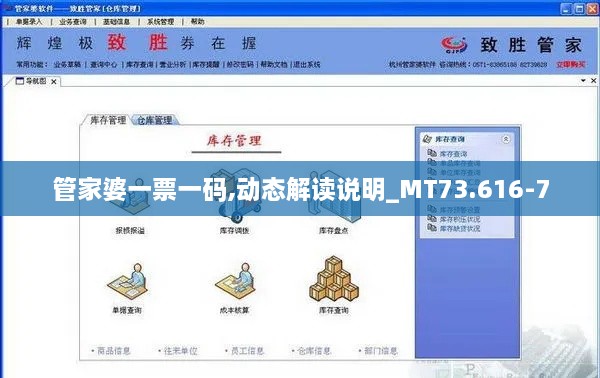 管家婆一票一码,动态解读说明_MT73.616-7