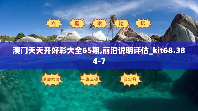 澳门天天开好彩大全65期,前沿说明评估_kit68.384-7