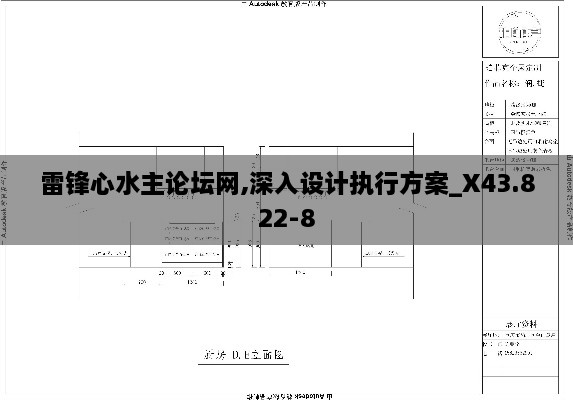 雷锋心水主论坛网,深入设计执行方案_X43.822-8