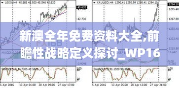 新澳全年免费资料大全,前瞻性战略定义探讨_WP169.705-4