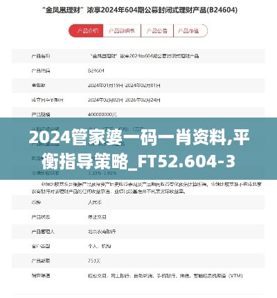 2024管家婆一码一肖资料,平衡指导策略_FT52.604-3