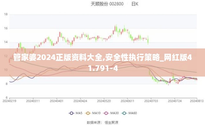 管家婆2024正版资料大全,安全性执行策略_网红版41.791-4