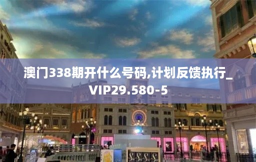 澳门338期开什么号码,计划反馈执行_VIP29.580-5