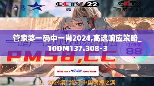 管家婆一码中一肖2024,高速响应策略_10DM137.308-3