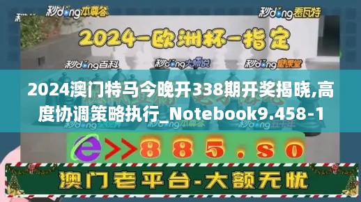 2024澳门特马今晚开338期开奖揭晓,高度协调策略执行_Notebook9.458-1