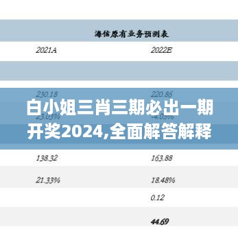 白小姐三肖三期必出一期开奖2024,全面解答解释定义_W17.745-2