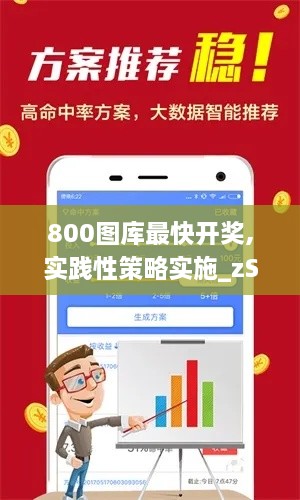 800图库最快开奖,实践性策略实施_zShop98.914-3